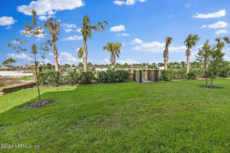 New construction Townhouse house 547 Marquesa Circle, Saint Johns, FL 32259 - photo 25 25