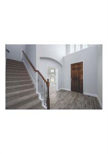 Foyer with a towering ceiling, dark wood-type flooring, and plenty of natural light