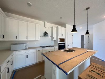 New construction Single-Family house 2100 Axel Street, Minneola, FL 34715 - photo 4 4