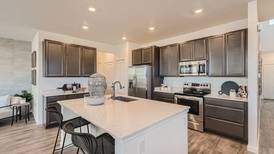 New construction Multi-Family house Erie, CO 80516 - photo 5 5