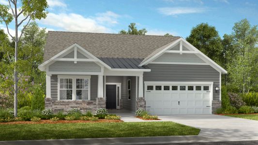 New construction Single-Family house 208 Northgate Blvd, Indian Trail, NC 28079 - photo 7 7