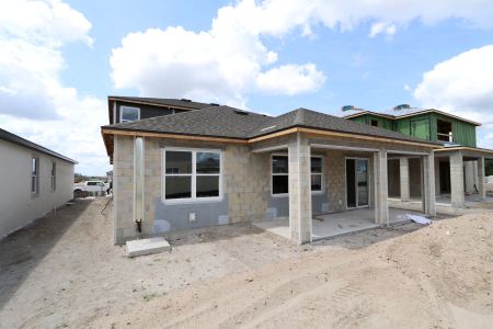 New construction Single-Family house 31835 Sapna Chime Drive, Wesley Chapel, FL 33545 Salinas- photo 44 44