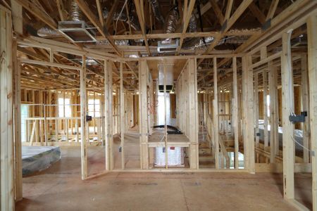 New construction Single-Family house 12383 Hilltop Farms Drive, Dade City, FL 33525 Malibu- photo 54 54