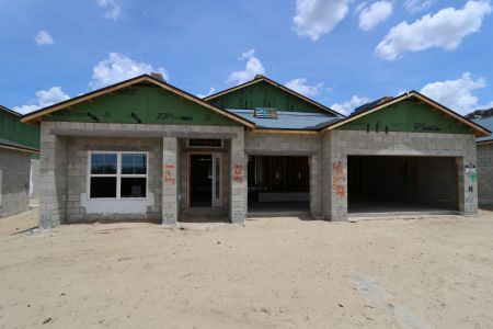 New construction Single-Family house 2473 Clary Sage Drive, Spring Hill, FL 34609 Corina II- photo 24 24