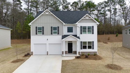 New construction Single-Family house 253 Friendship Oak Way, Hampton, GA 30228 Packard- photo 0 0