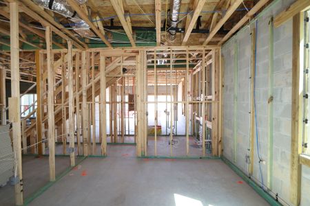 New construction Single-Family house 33202 Amling Pecan Branch, Wesley Chapel, FL 33545 Coronado II- photo 17 17