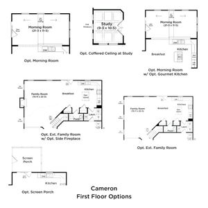 New construction Single-Family house 4203 Nc 210, Lillington, NC 27546 - photo 14 14