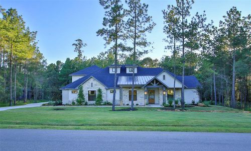 New construction Single-Family house 7335 Magnolia Hollow Drive, Montgomery, TX 77316 - photo 0