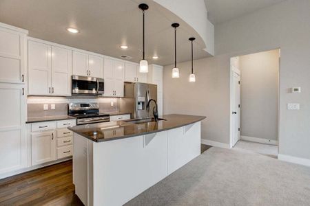 New construction Multi-Family house 827 Schlagel Street, Fort Collins, CO 80524 - photo 8 8