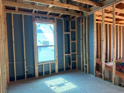 New construction Single-Family house 1252 Comal Lane, Springtown, TX 76082 Havasu III- photo 9 9