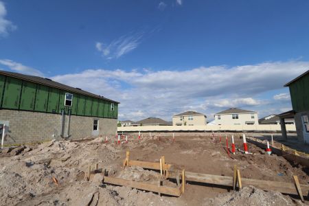 New construction Single-Family house 3106 Marine Grass Drive, Wimauma, FL 33598 Barcello- photo 3 3