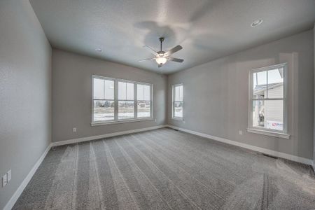 New construction Single-Family house 8412 Cromwell Circle, Windsor, CO 80528 - photo 36 36