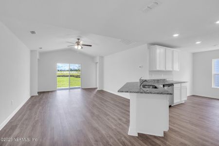 New construction Single-Family house 3197 Lowgap Pl, Green Cove Springs, FL 32043 - photo