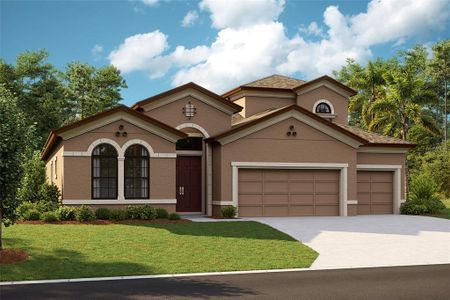 New construction Single-Family house 13060 Homestead Lane, Parrish, FL 34219 - photo 0