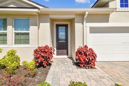 New construction Single-Family house 2414 Water Willow Drive, Lutz, FL 33558 - photo 3 3