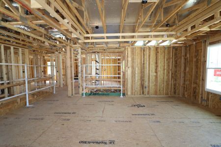 New construction Single-Family house 10724 New Morning Drive, Tampa, FL 33647 Coronado II- photo 23 23