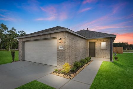 New construction Single-Family house 21622 Desert Lily Road, Waller, TX 77484 - photo 0