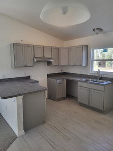 New construction Single-Family house 24349 Nw Falcon Avenue, Dunnellon, FL 34431 - photo
