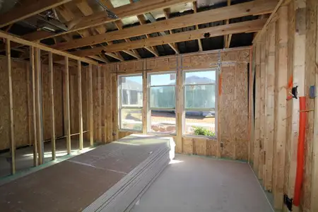 New construction Single-Family house 3207 Drago Dr, Round Rock, TX 78665 Alpine- photo 23