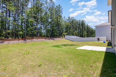 New construction Single-Family house 127 Red Valor Street, Garner, NC 27529 - photo 25 25