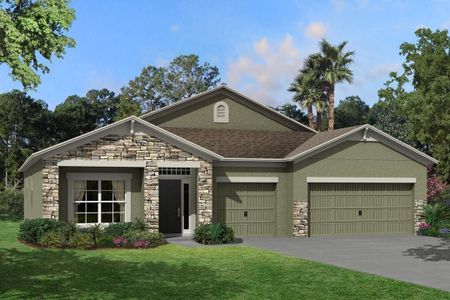 New construction Single-Family house 2473 Clary Sage Drive, Spring Hill, FL 34609 Corina II- photo 0 0