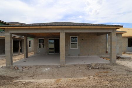 New construction Single-Family house 31843 Sapna Chime Drive, Wesley Chapel, FL 33545 Picasso- photo 26 26