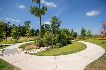 New construction Single-Family house 308 Gray Wolf Drive, Huntsville, TX 77320 The Augustine- photo 24 24