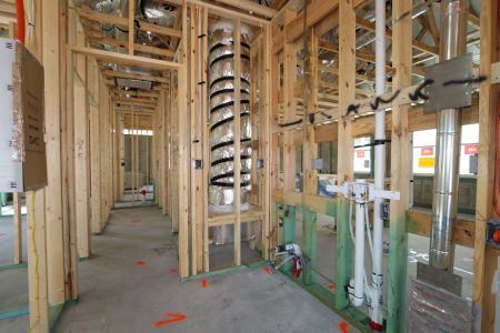 New construction Single-Family house 33224 Amling Pecan Branch, Wesley Chapel, FL 33545 Newport II- photo 21 21