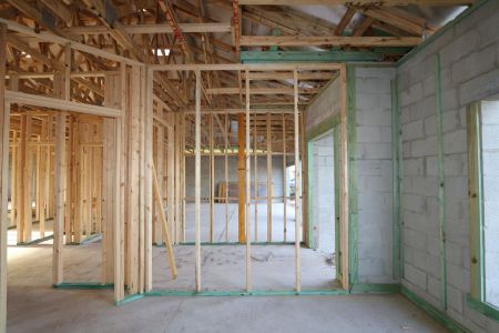 New construction Single-Family house 2941 Marine Grass Drive, Wimauma, FL 33598 Barcello- photo 25 25