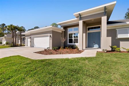 New construction Single-Family house 33 Woodbury Drive, Palm Coast, FL 32164 - photo 2 2