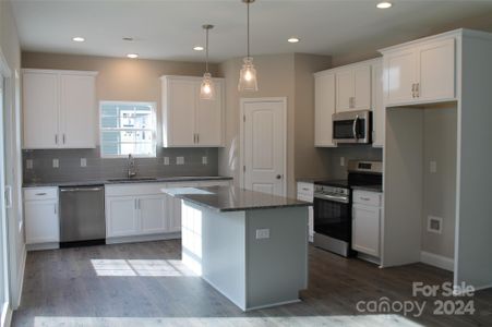 New construction Single-Family house 5776 Stanfield Valley Trail, Stanfield, NC 28163 - photo