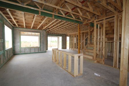New construction Single-Family house 2522 Sunny Pebble Loop, Zephyrhills, FL 33540 Mira Lago- photo 14 14