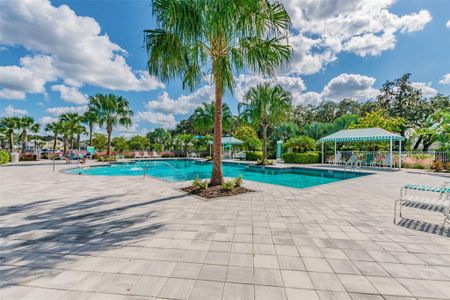 New construction Single-Family house 10417 Crooked Creek Court, Parrish, FL 34219 - photo 33 33