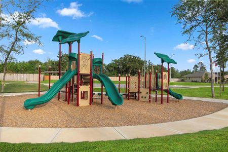 Amenities in Mustang Ridge include a community park and playground.