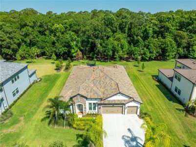 New construction Single-Family house 18416 Belfair Glen Place, Lutz, FL 33559 - photo 16 16