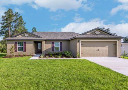 New construction Single-Family house Caladesi, 13861 Sw 27Th Ct Rd, Ocala, FL 34473 - photo