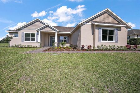 New construction Single-Family house 5701 Crestview Drive, Lady Lake, FL 32159 - photo 6 6