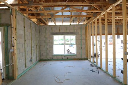 New construction Single-Family house 33224 Amling Pecan Branch, Wesley Chapel, FL 33545 Newport II- photo 6 6