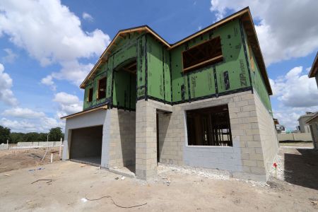 New construction Single-Family house 31823 Sapna Chime Drive, Wesley Chapel, FL 33545 Mira Lago- photo 29 29