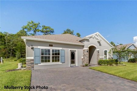 New construction Single-Family house 450 Silver Palm Drive, Haines City, FL 33844 Mulberry- photo 0 0