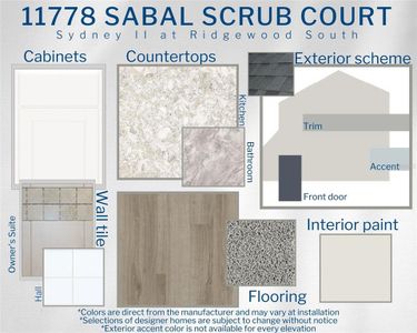 New construction Single-Family house 11778 Sabal Scrub Court, Riverview, FL 33579  SYDNEY II- photo 2 2