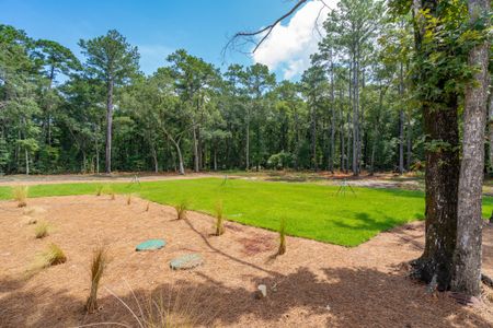 New construction Single-Family house 1451 Ravens Bluff Road, Johns Island, SC 29455 - photo 70 70