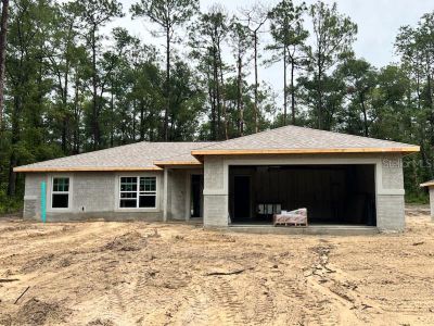 New construction Single-Family house 15335 Sw 38Th St Road, Ocala, FL 34481 - photo