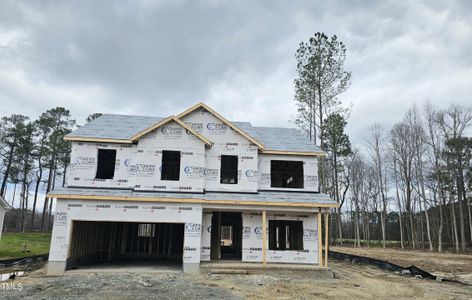 New construction Single-Family house 251 E Clydes Point Way, Wendell, NC 27591 Drayton- photo 23 23