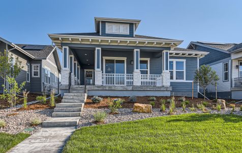Harmony Courtyard Collection by Thrive Home Builders in Fort Collins - photo