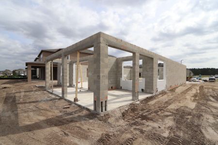 New construction Single-Family house 2522 Sunny Pebble Loop, Zephyrhills, FL 33540 Mira Lago- photo 7 7
