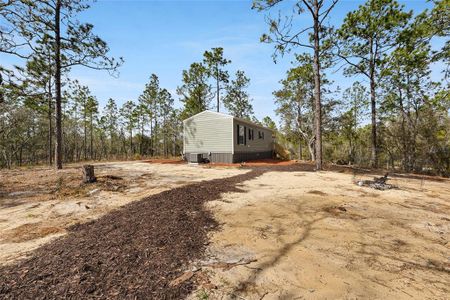 New construction Manufactured Home house 14830 Se 20Th Street, Morriston, FL 32668 - photo 25 25