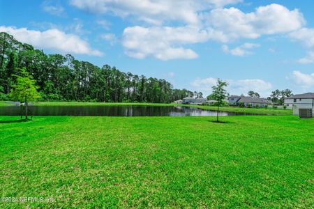 New construction Single-Family house 3018 Goose Creek Lane, Green Cove Springs, FL 32043 - photo 37 37