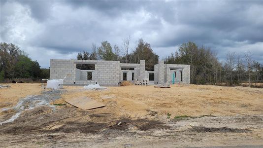 New construction Single-Family house 11325 Nw 4Th Street, Ocala, FL 34482 2330- photo 3 3