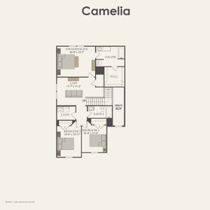 New construction Single-Family house Camelia, 25646 Balsamroot Drive, Magnolia, TX 77355 - photo